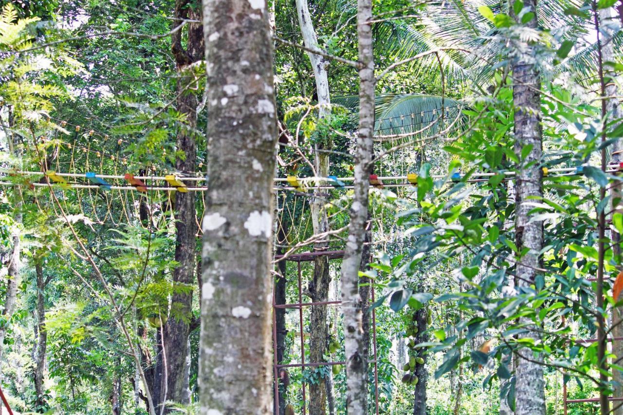 Cs County Resort Sakleshpur Eksteriør billede
